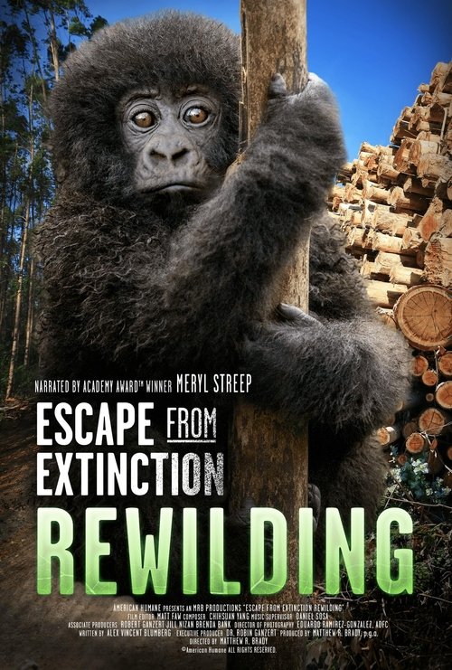movie trailer