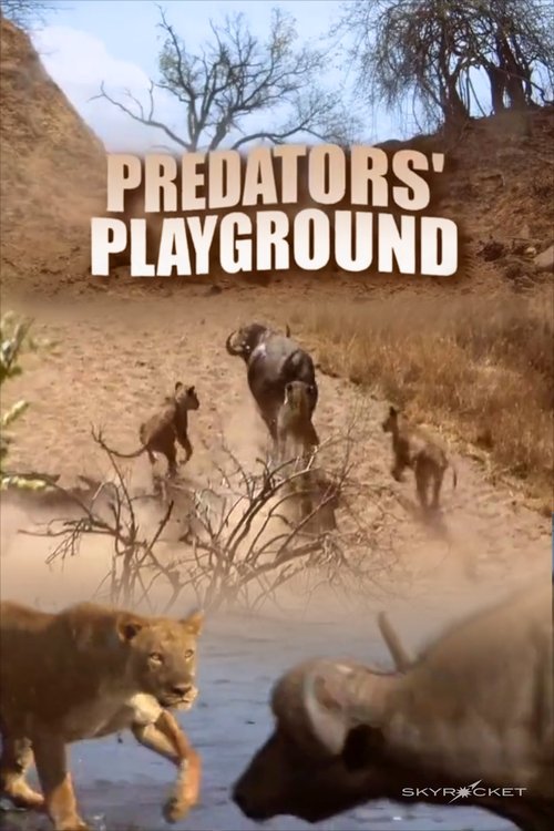movie trailer