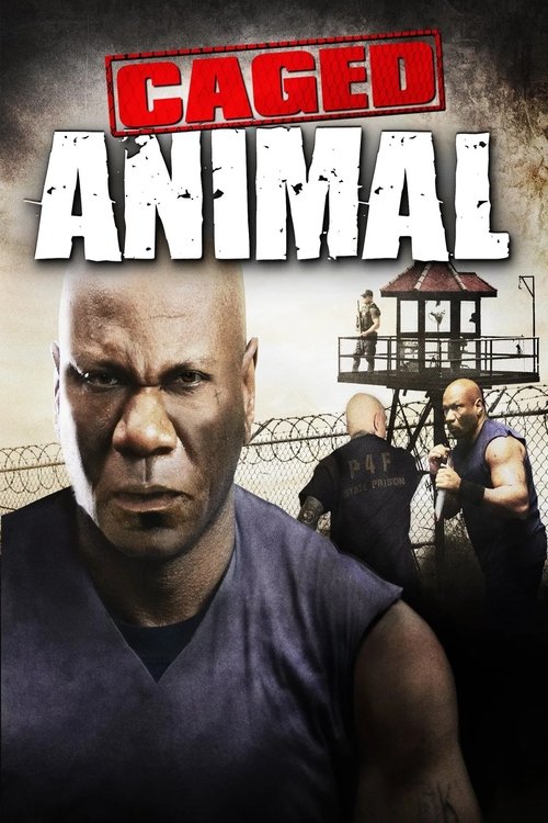 movie trailer