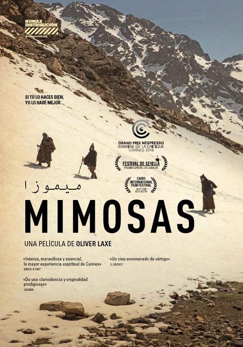 movie trailer