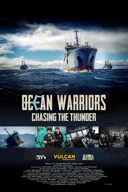 movie trailer