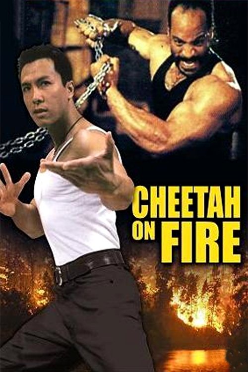 movie trailer