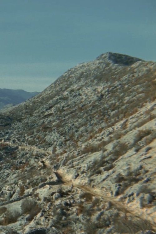 movie trailer