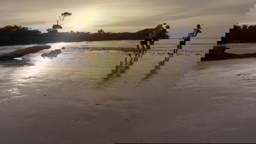 movie trailer