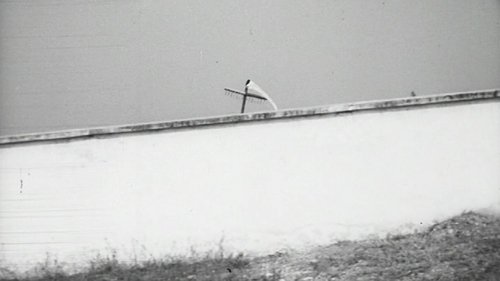 movie trailer
