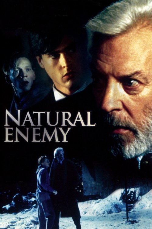 movie trailer