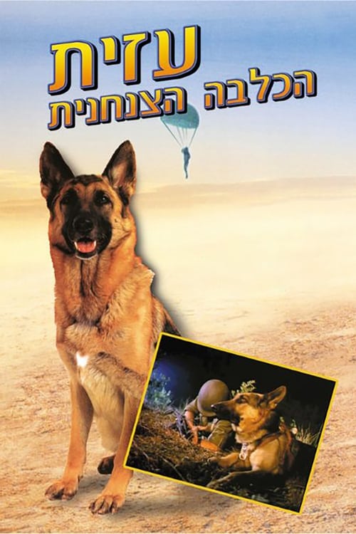 movie trailer