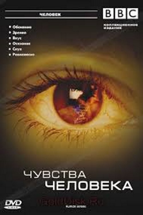 movie trailer