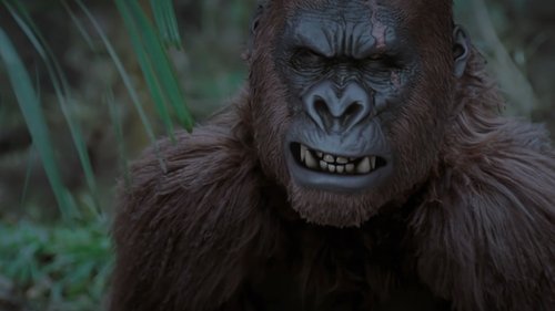 movie trailer