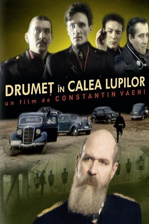 movie trailer