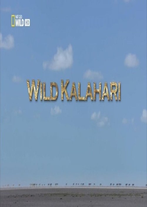movie trailer