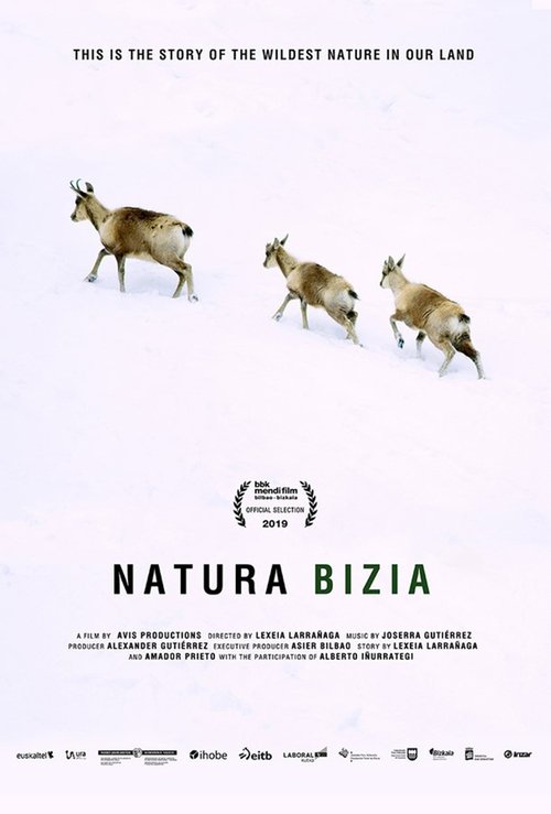 movie trailer