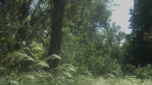 movie trailer