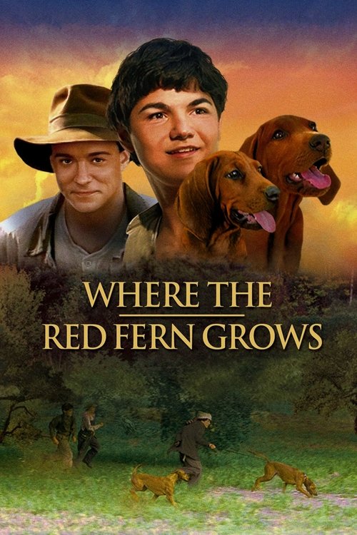 movie trailer