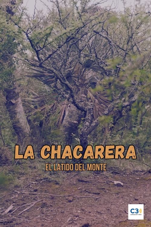 movie trailer