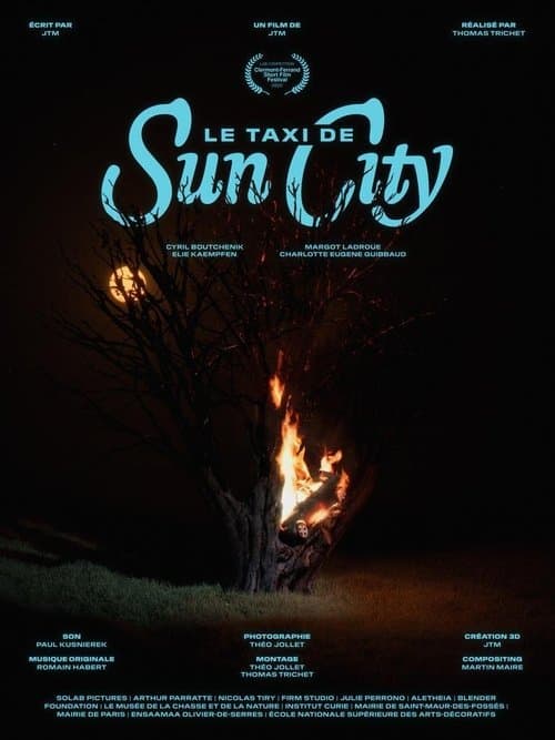 Le taxi de Sun City