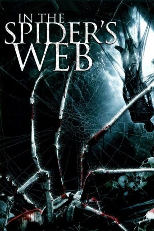 In the Spider's Web