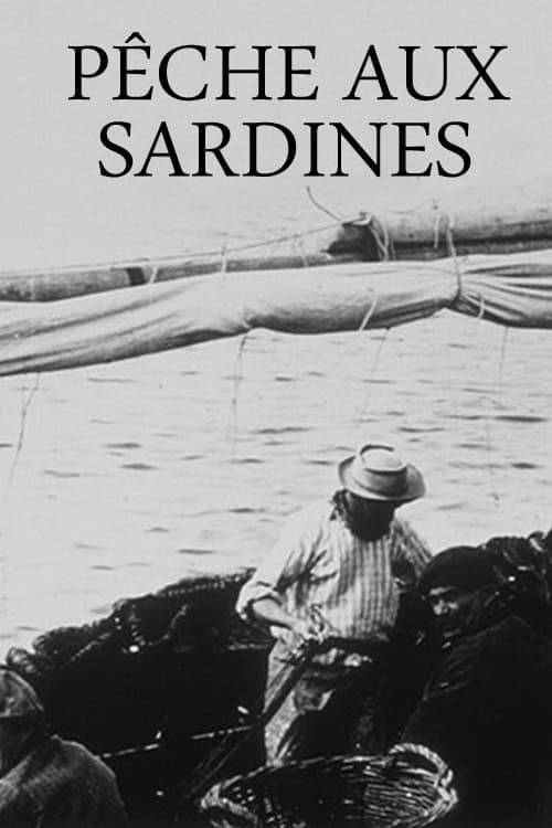 Pêche aux sardines