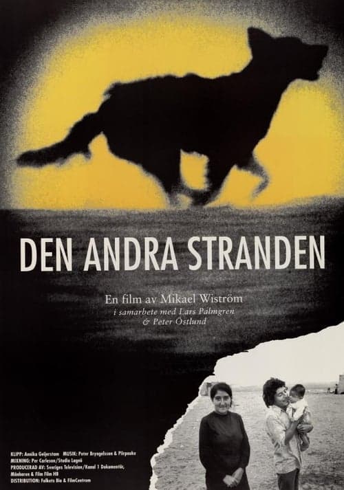 Den andra stranden