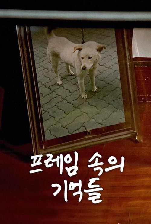 프레임 속의 기억들