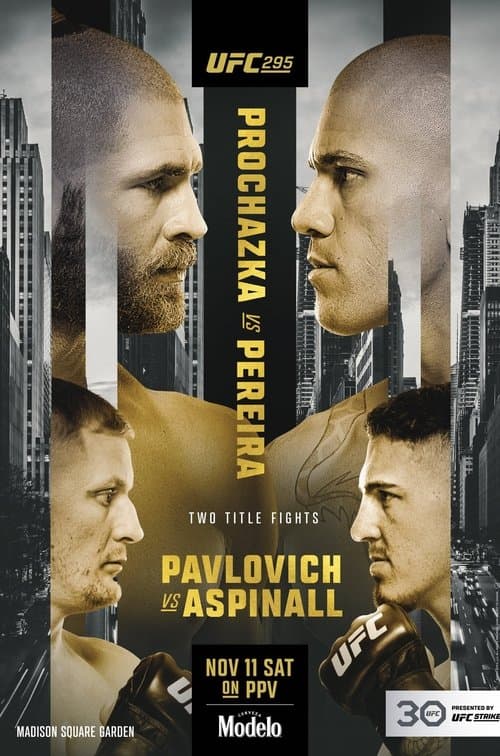 UFC 295: Prochazka vs. Pereira