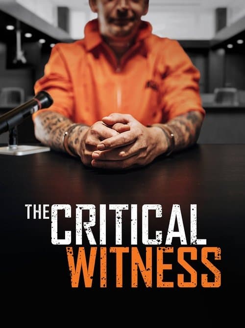 The Critical Witness