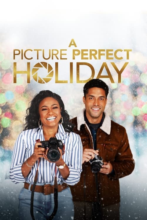 A Picture Perfect Holiday