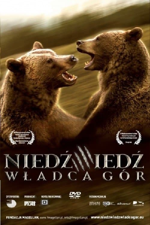 Niedźwiedź: Władca gór