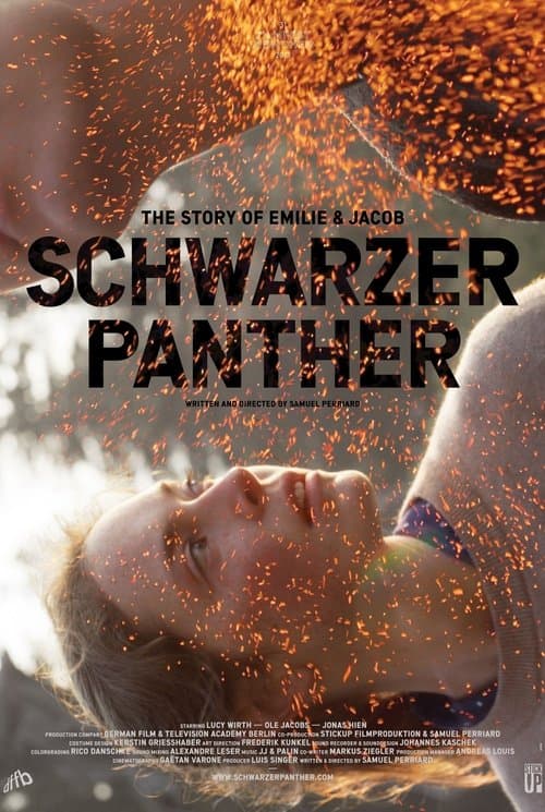 Schwarzer Panther