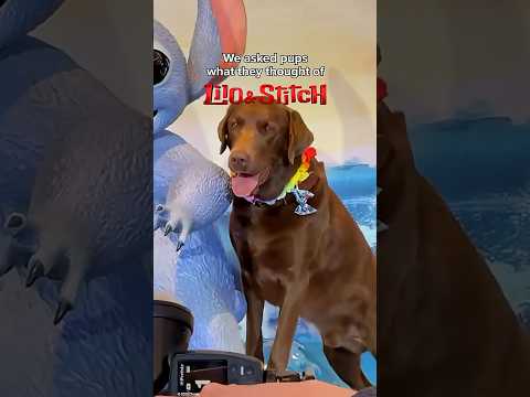 Featurette