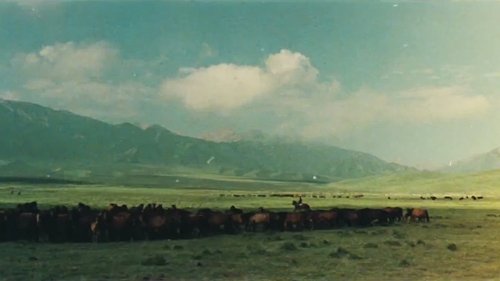 movie trailer